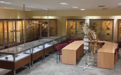 ESOGÜ Zooloji Müzesi