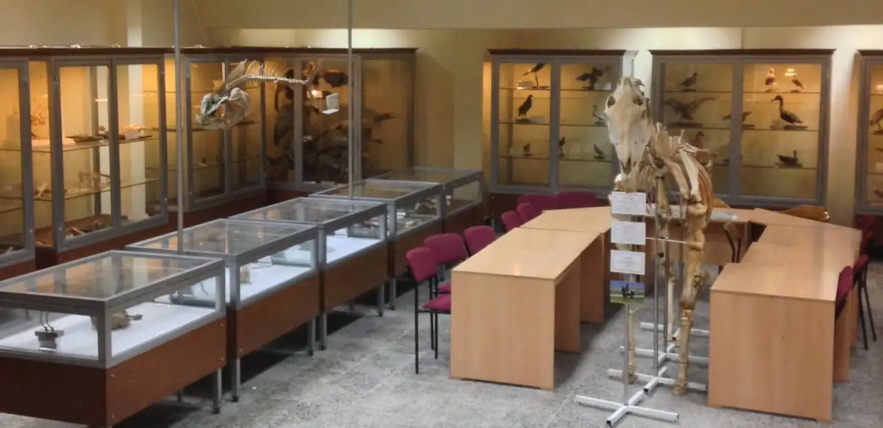 ESOGÜ Zooloji Müzesi