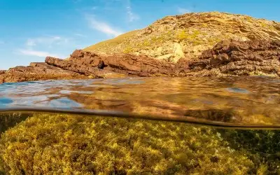 Gökçeada Sualtı Milli Parkı
