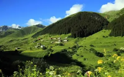 Gürcüdüzü Yaylası