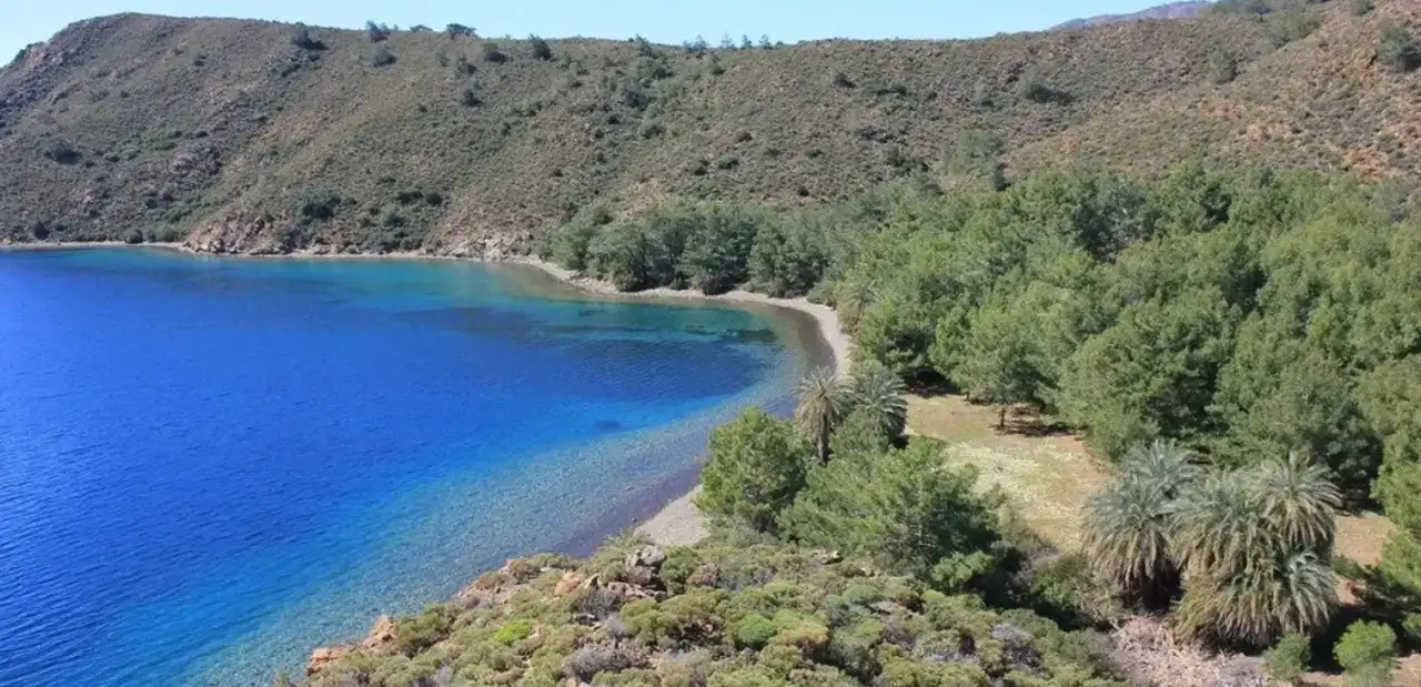 Hurmalı Bük