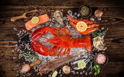 Istakozcu Canbaba Restoran