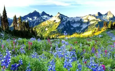 Kaçkar Dağları Milli Parkı