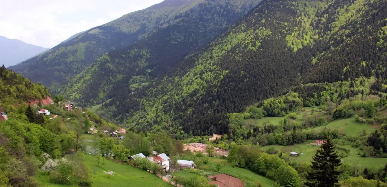 Kafkasör Yaylası