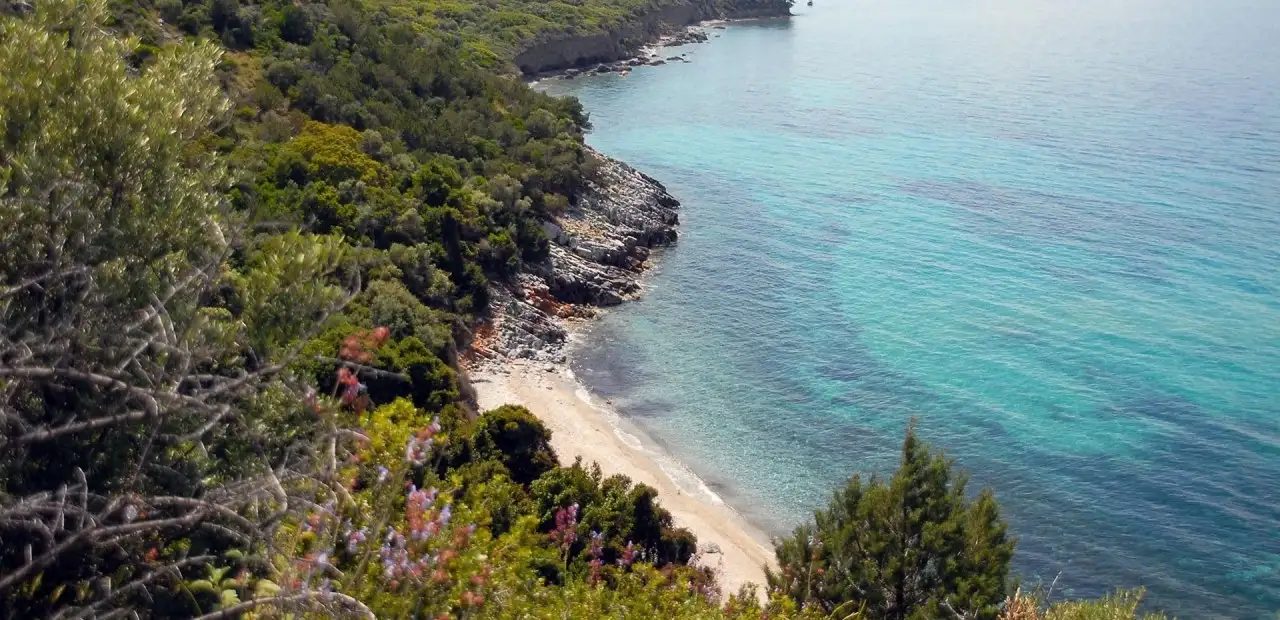 Kalamaki Koyu ve Plajı
