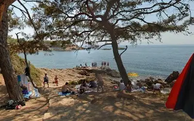 Kalemlik Orman Kampı