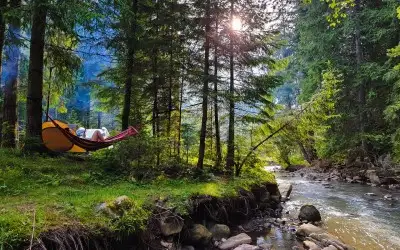 Karadeniz Bölgesi En İyi Kamp Alanları: Karadeniz’de Kamp Yapabilecek En İyi 19 Yer