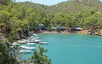 Katrancı Koyu Tabiat Parkı