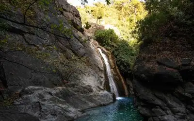 Kazdağı Milli Parkı