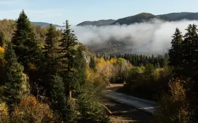 Küre Dağları Milli Parkı