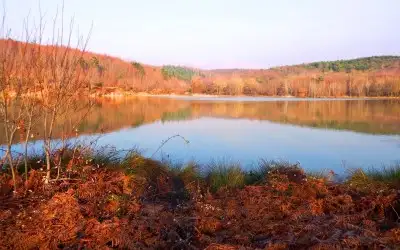 Kurugöl Tabiat Parkı