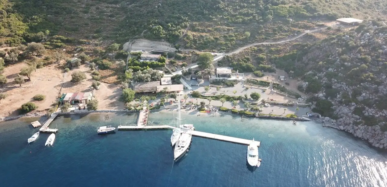 Kuzbükü
