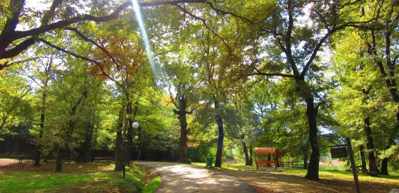 Kuzuluk Tabiat Parkı