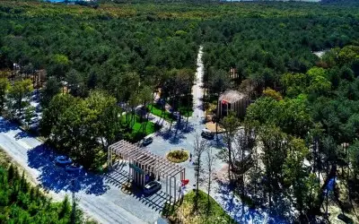 Longosphere Glamping