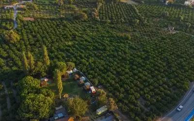 Mona Glamping Caravan Suites