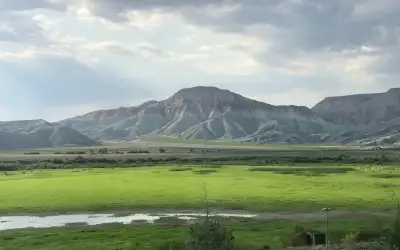 Nallıhan Kuş Cenneti