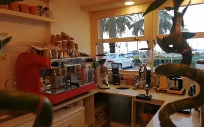 Oda Plant Coffee Shop