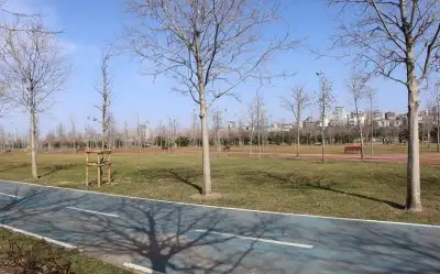 Orhangazi Şehir Parkı