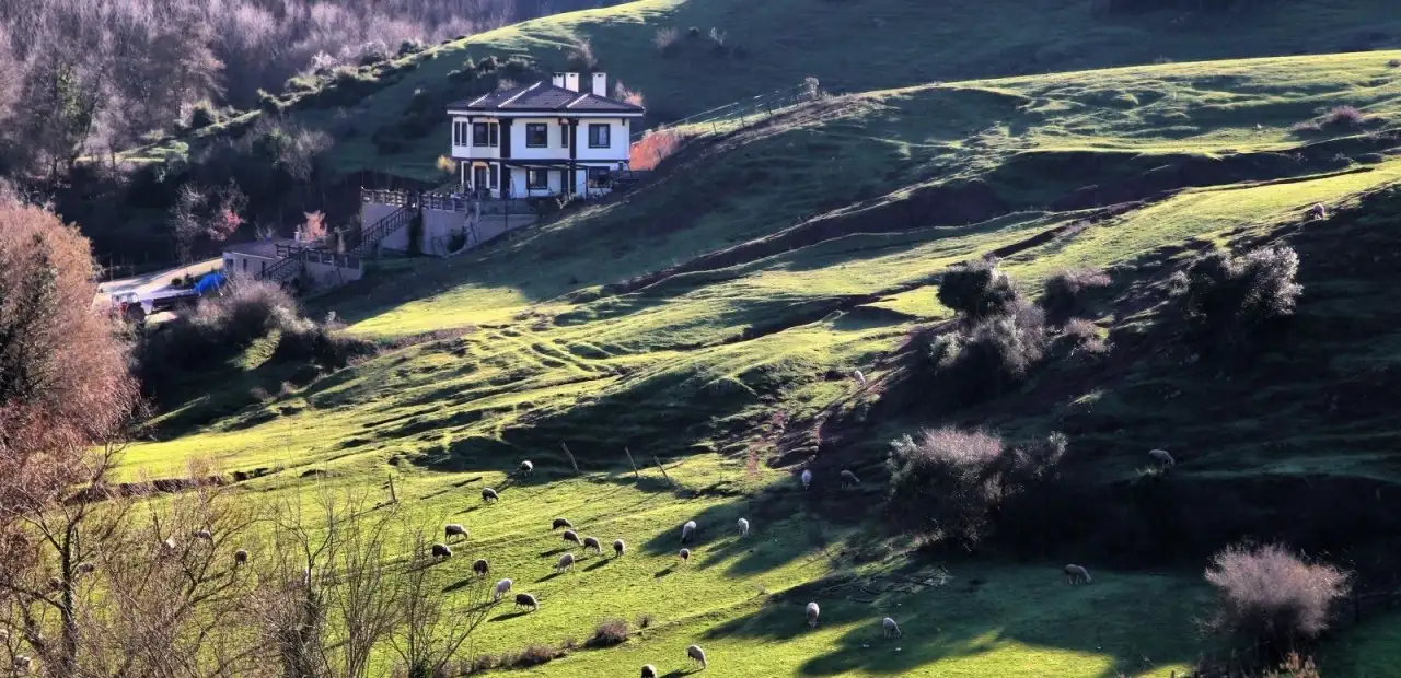 Ovacık