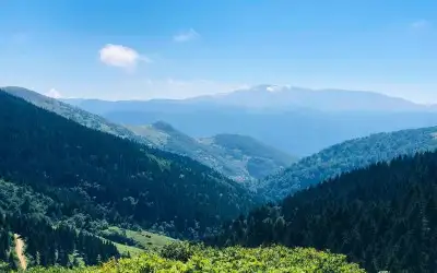 Paşakonağı Yaylası