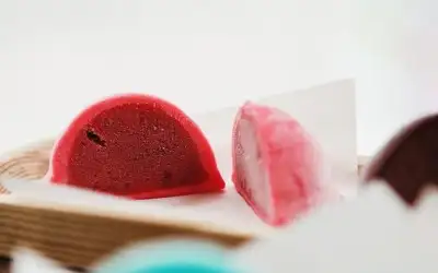 Ponchi Mochi