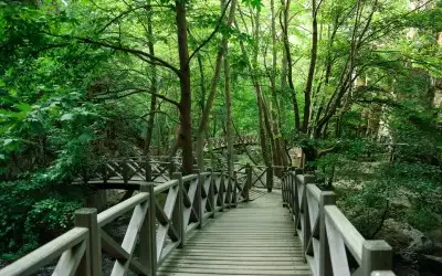 Sadağı Kanyonu Tabiat Parkı