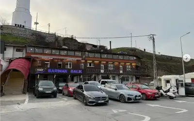 Salaş Barınak Balık Restaurant