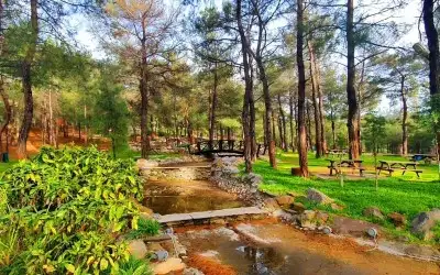 Sasalı Kent Ormanı