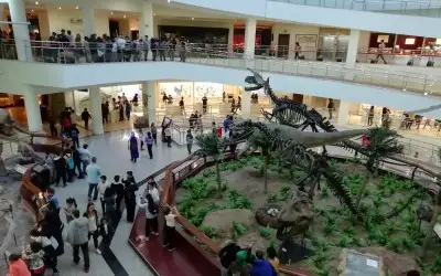 Şehit Cuma Dağ Tabiat Tarihi Müzesi