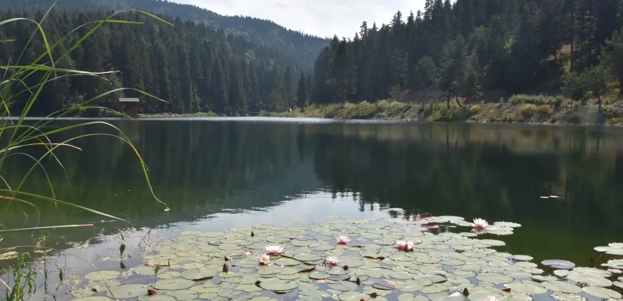Sinop Akgöl Tabiat Parkı
