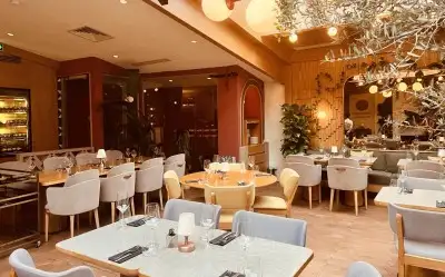 Stefano by İsmet Saz