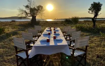 Ayvalık'ın En İyi Restoranları: Ayvalık ve Cunda'nın En İyi 12 Restoranı