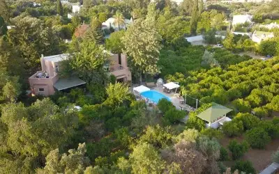 Trattoria il Mandarino