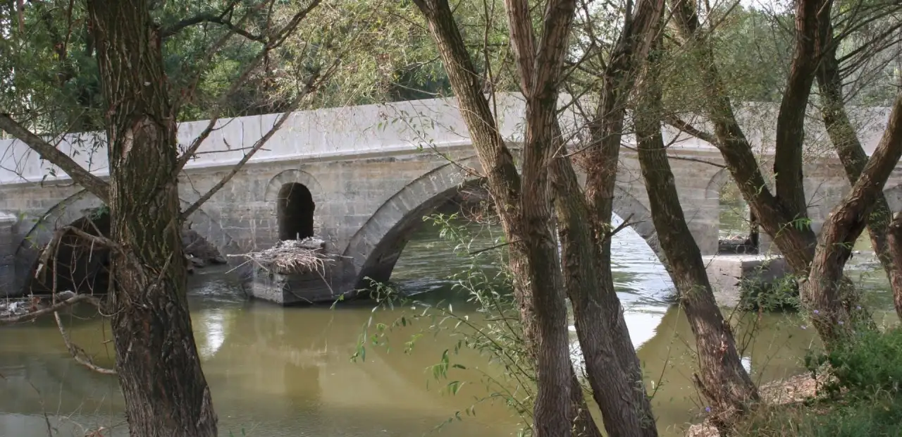 Tunca Nehri