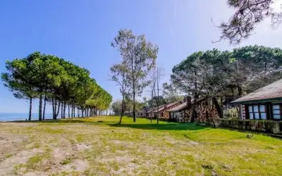 Ünye Çınarsuyu Kamp