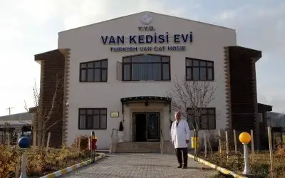 Van Kedisi Evi