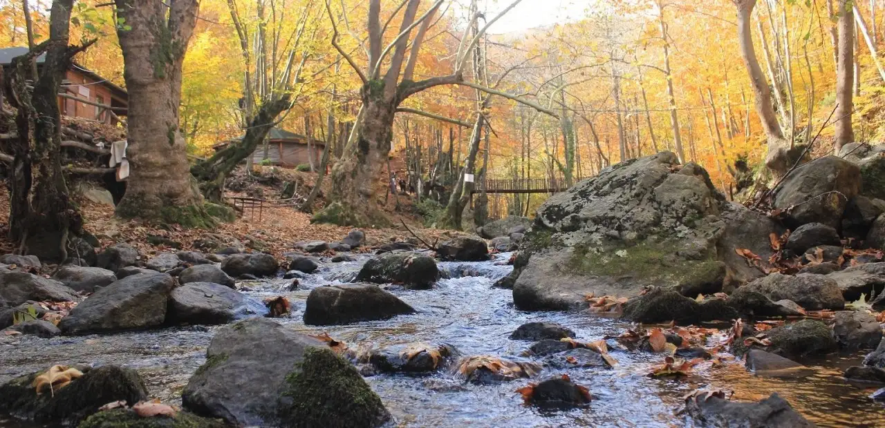 Yalova Kent Ormanı