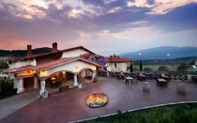 Yedibilgeler Şarapçılık