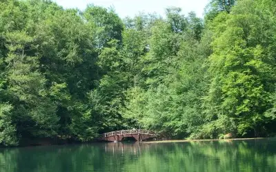 Yedigöller Milli Parkı