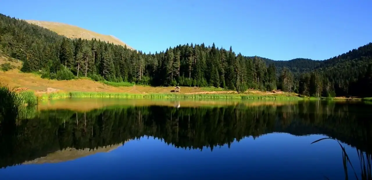 Yenice Ormanları