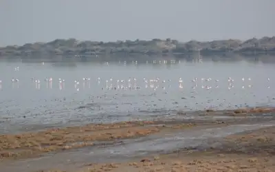 Yumurtalık Lagünü Milli Parkı