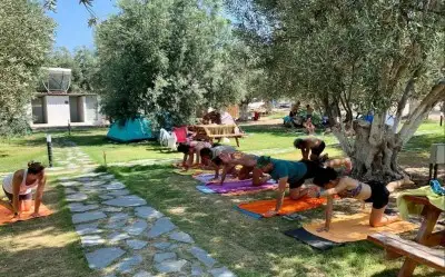 Zeytin Gölgesi Camping