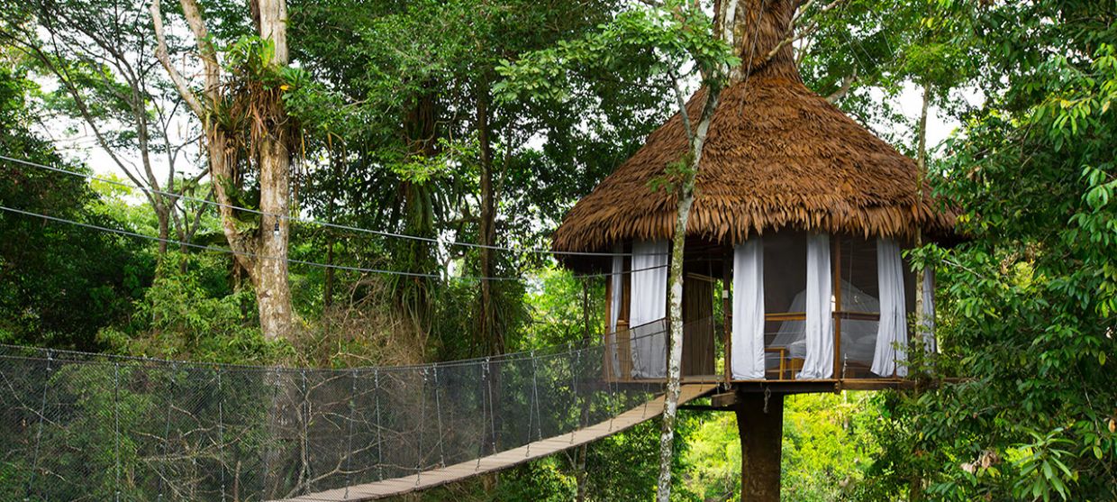 Treehouse Lodge Resort